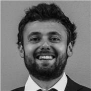 Dottore di ricerca in fisica teorica offre lezioni di matematica per studenti di scuole medie e superiori